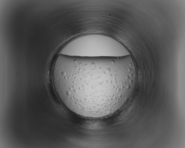 X0000089900351200706281139