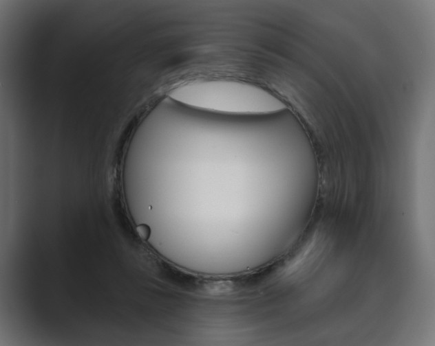 X0000089900355200706281139