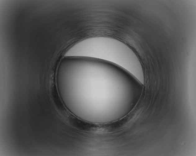 X0000089900356200706281139