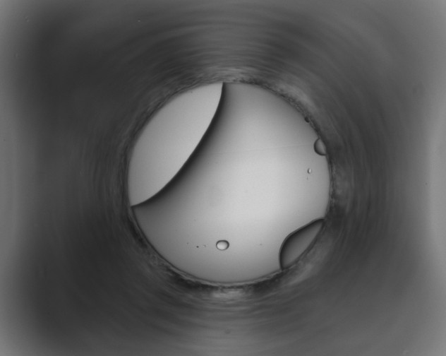 X0000089900357200706281139