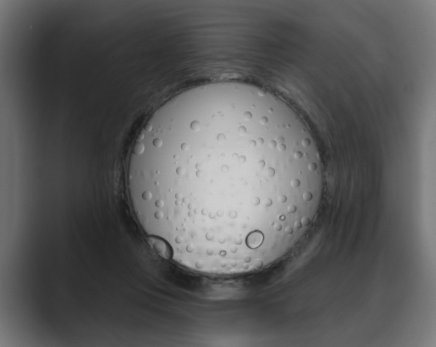 X0000089900359200706281139