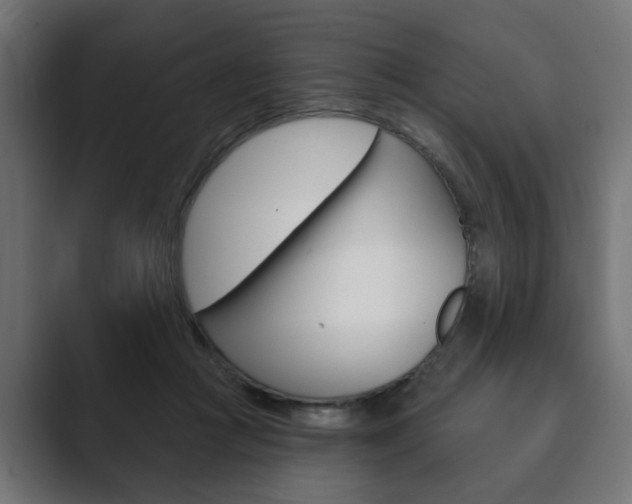 X0000089900361200706281139