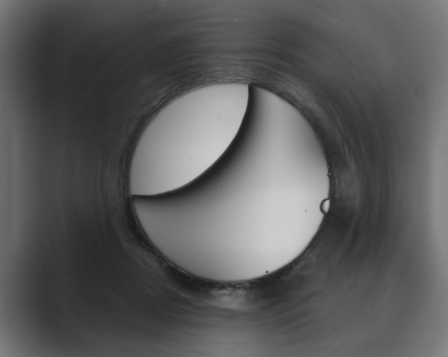 X0000089900362200706281139