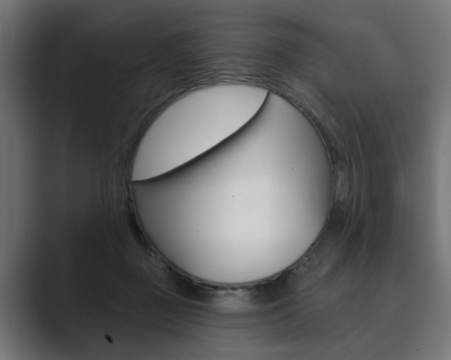 X0000089900363200706281139