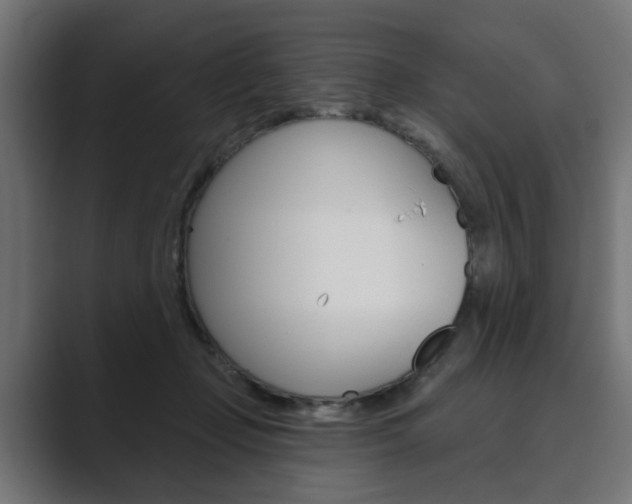 X0000089900365200706281139
