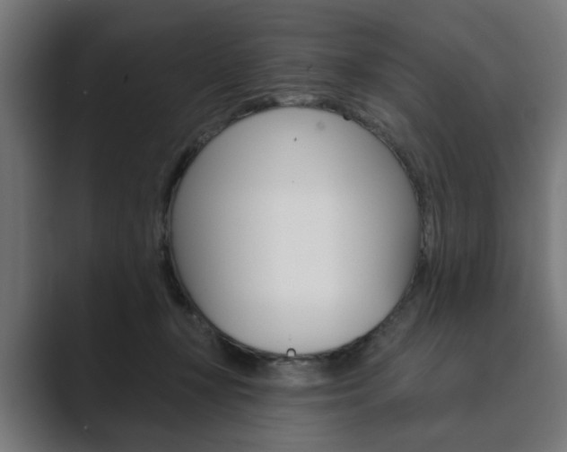 X0000089900367200706281139