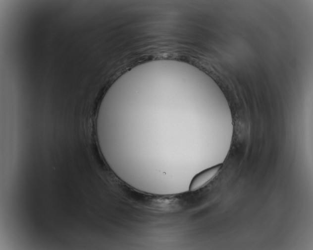 X0000089900375200706281139