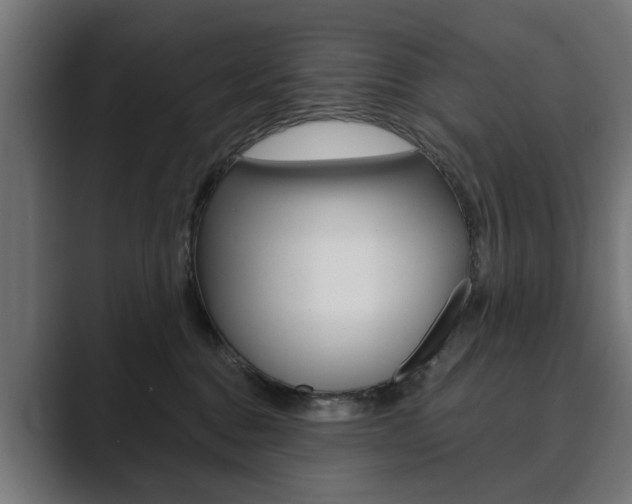 X0000089900376200706281139