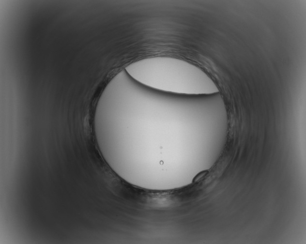 X0000089900377200706281139