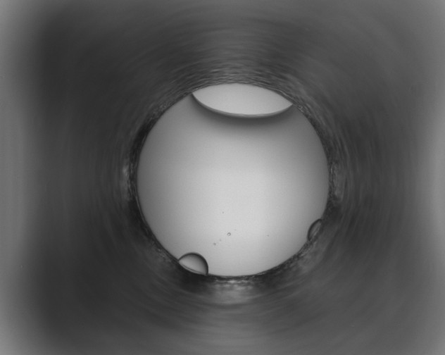 X0000089900378200706281139