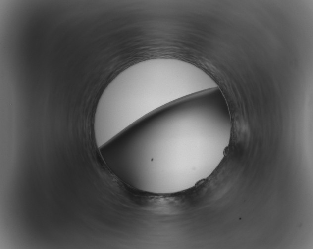 X0000089900379200706281139