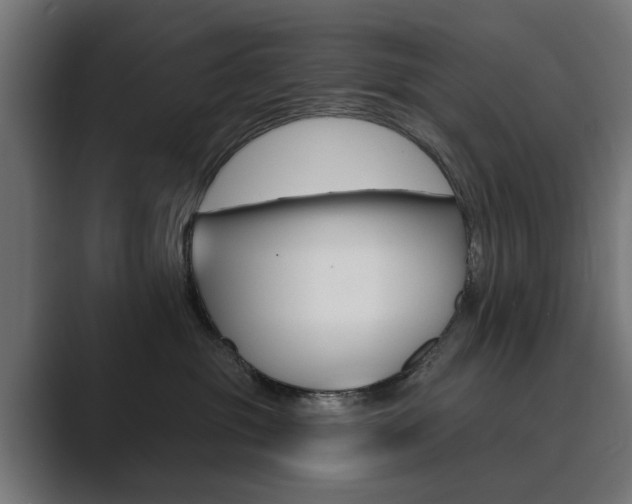 X0000089900381200706281139