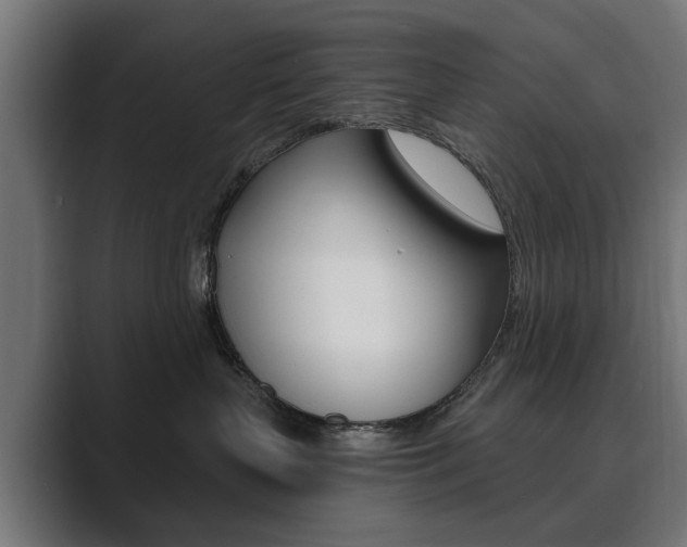 X0000089900383200706281139