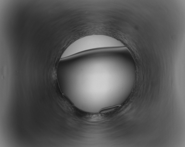 X0000089900384200706281139
