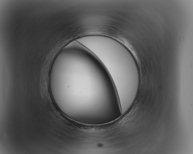 X0000089900385200706281139