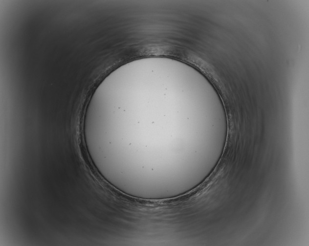 X0000089900386200706281139