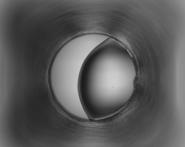 X0000089900389200706281139