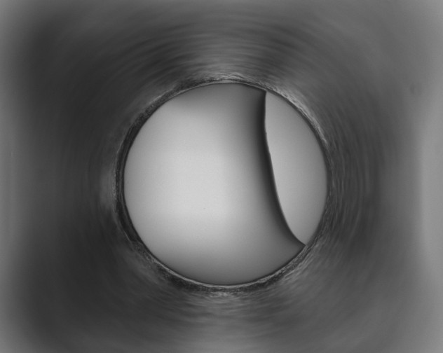 X0000089900390200706281139