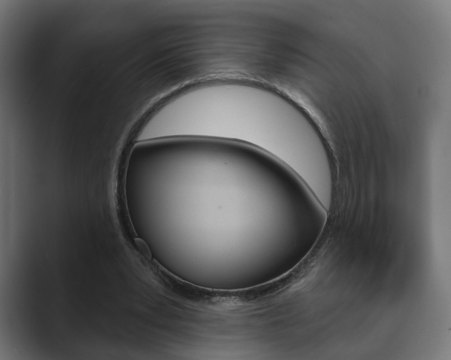 X0000089900391200706281139