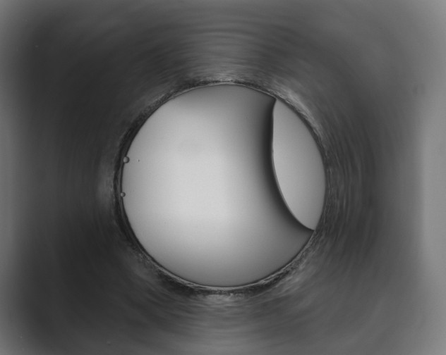X0000089900394200706281139