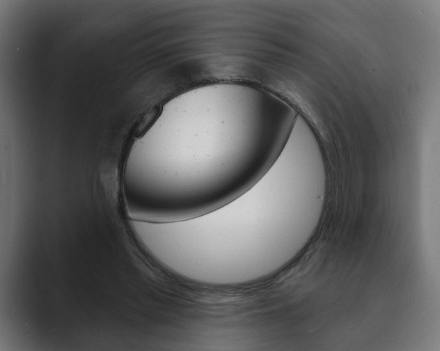 X0000089900397200706281139