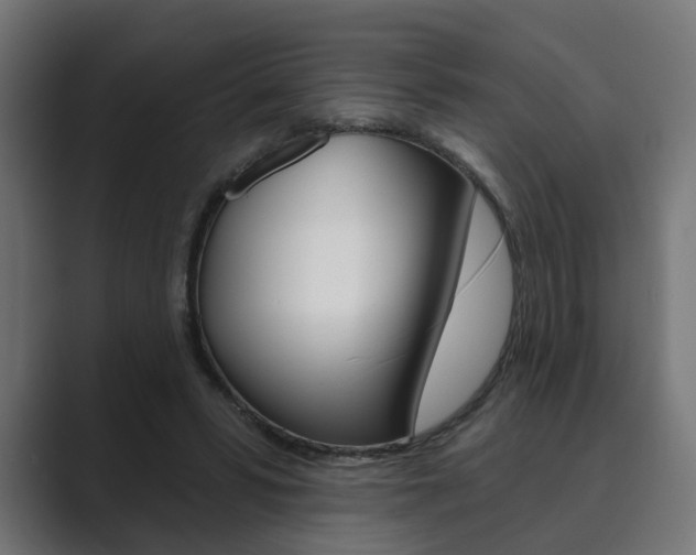 X0000089900399200706281139