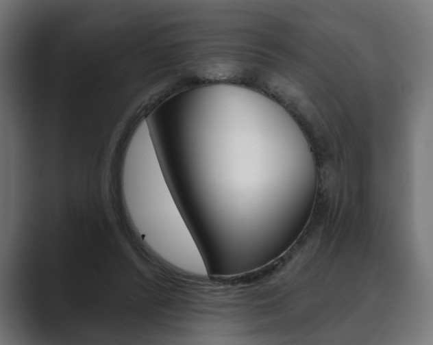 X0000089900400200706281139