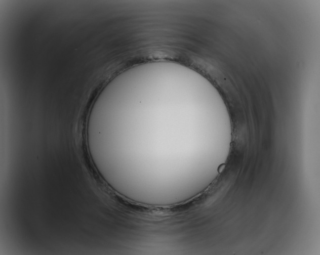 X0000089900402200706281139