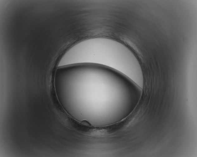 X0000089900403200706281139