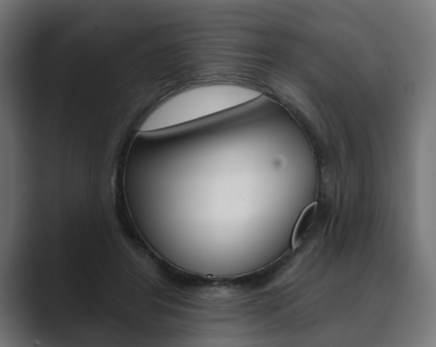 X0000089900404200706281139