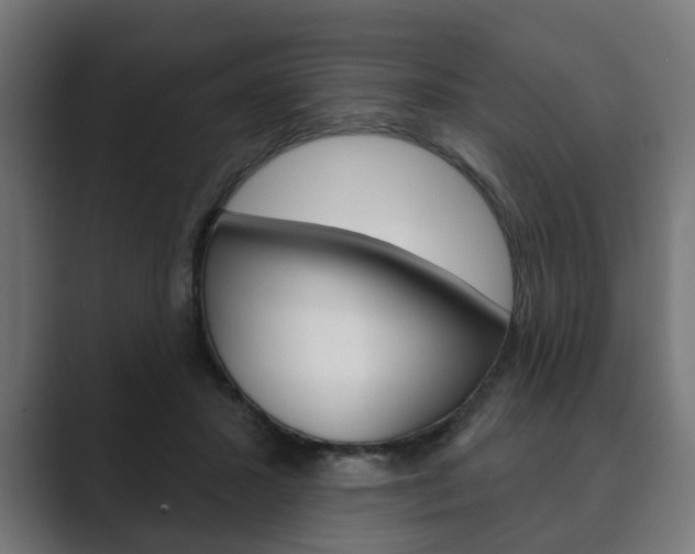 X0000089900407200706281138