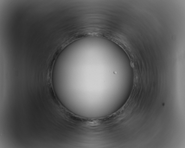 X0000089900411200706281138