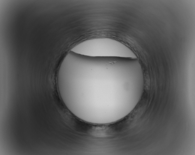 X0000089900414200706281138