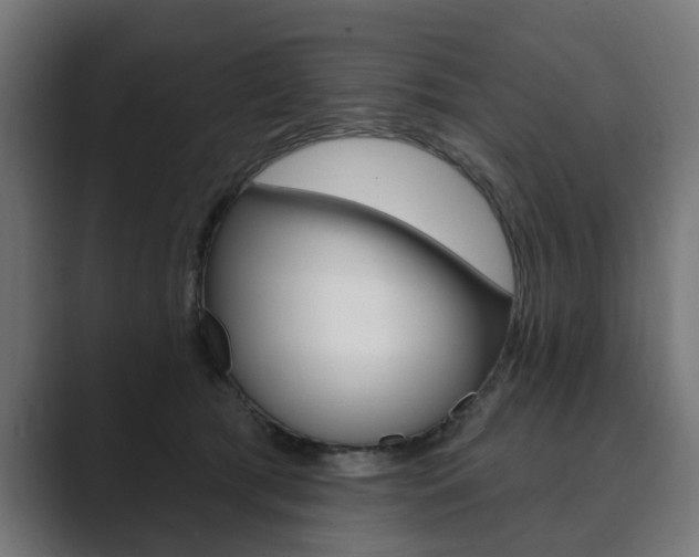 X0000089900417200706281138