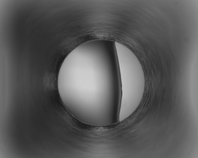X0000089900421200706281138