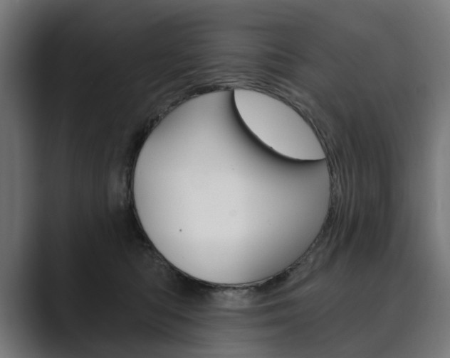 X0000089900422200706281138