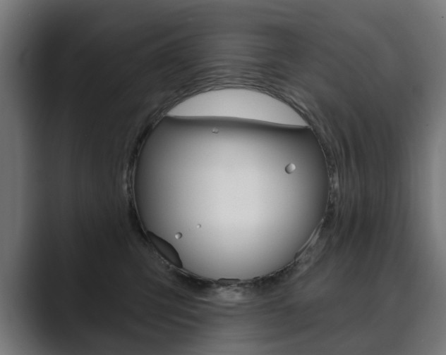 X0000089900423200706281138