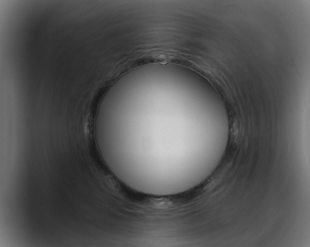 X0000089900424200706281138
