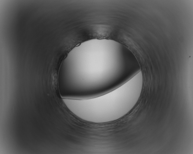 X0000089900425200706281138
