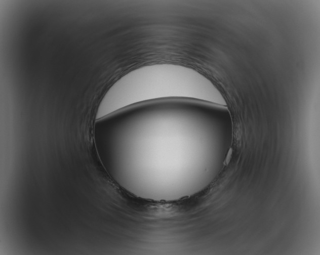 X0000089900428200706281138