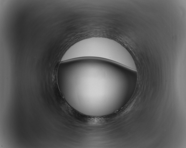 X0000089900432200706281138