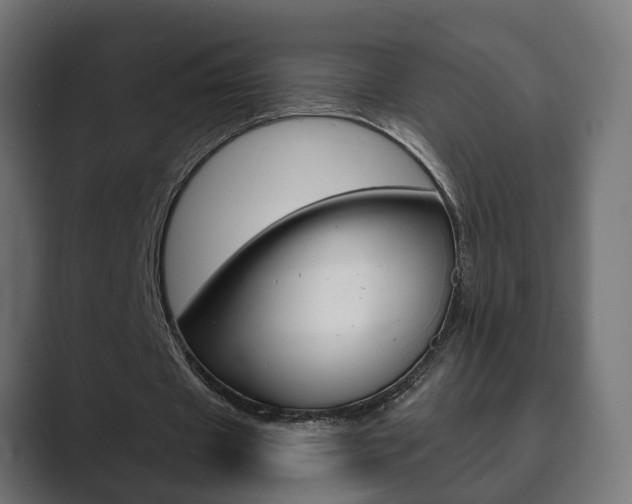X0000089900433200706281138