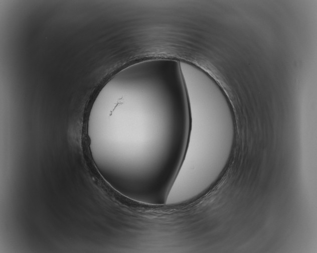 X0000089900434200706281138