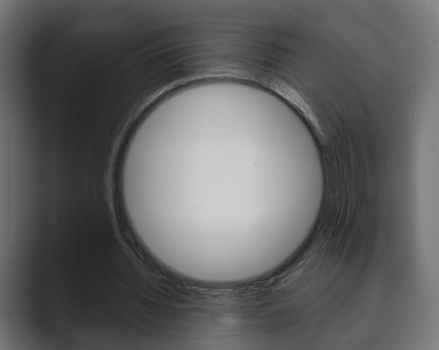 X0000089900436200706281138