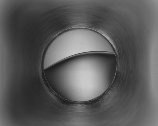 X0000089900437200706281138