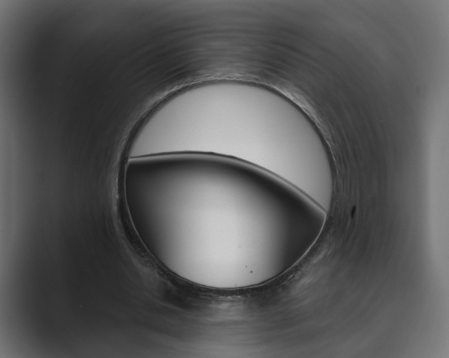 X0000089900438200706281138