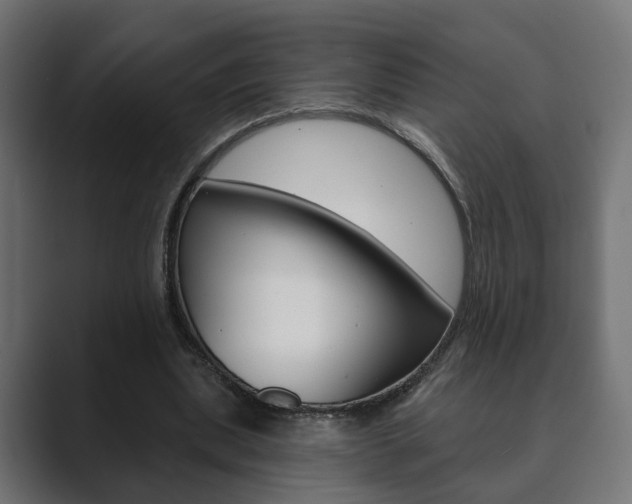 X0000089900439200706281138