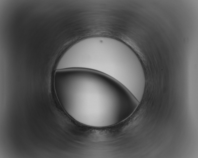 X0000089900442200706281138