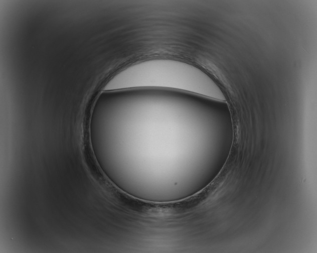 X0000089900444200706281138