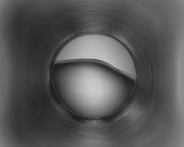 X0000089900446200706281138